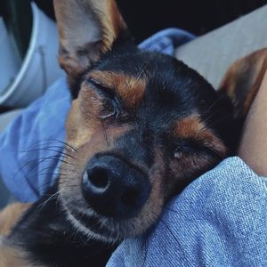 Meet your Posher, Madelynn